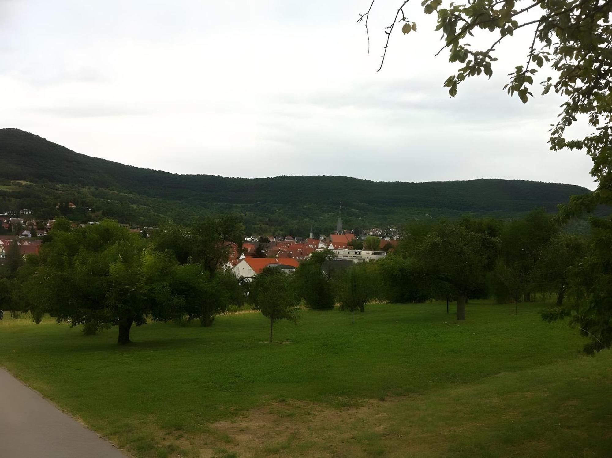 Ferienwohnung Holder Dettingen an der Erms Luaran gambar